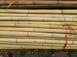 ไม้ไผ่ตกแต่งเสามอสแบบปรับแต่งได้สำหรับการสนับสนุนพืช - Product Image 4