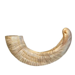 เปลือกหอยโคเชอร์เปลือกหอยทำด้วยมือแบบดั้งเดิมงานฝีมือตามธรรมชาติมากมายหินโมราเป่ายาวทางศาสนา - Product Image 3