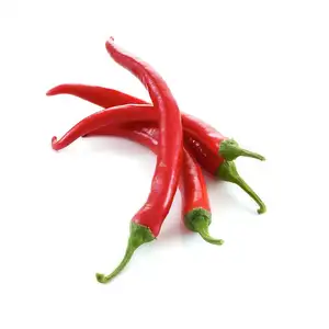 Premium Fresh Red Bell Chili direct from Thailand Farm (Premium Quality Fresh Bell Chili Pepper