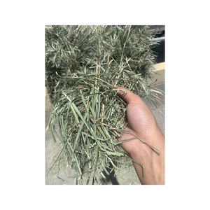 El mejor precio, almendras orgánicas, frutos de albaricoque amargo y dulce, ingredientes alimentarios secos de buen gusto a la venta - Product Image 1