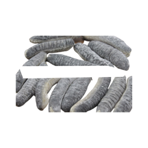 <b>Fresh</b> sea <b>cucumber</b> with high nutritional value and culinary versatility - Product Image 6