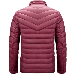Chaqueta acolchada de invierno de último estilo con capucha, abrigo de plumón de patrón sólido para uso en exteriores, diseño personalizable del fabricante OEM - Product Image 4