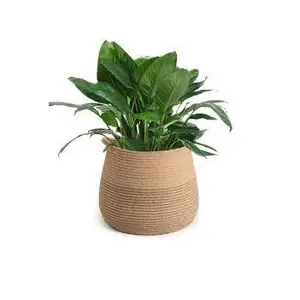 Vente en gros de paniers en jute de haute qualité panier tissé moderne pour pots de fleurs jardinières d'intérieur