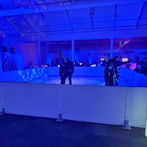 Sân băng nhân tạo ngoài trời/sân Băng tổng hợp ngoài trời/nhựa cho sân trượt băng - Product Image 2