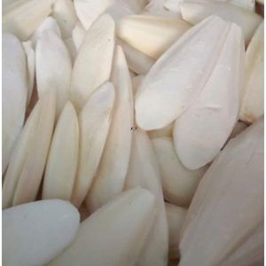 Pour l'alimentation des animaux Os de seiche séché disponible à prix économique - Product Image 1