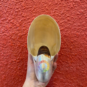 Polished Chambered Marine <b>Shell</b> <b>Ornament</b> for Interior Design Unique Eco-Friendly Craft Modern Theme Exported to Vietnam - Product Image 2