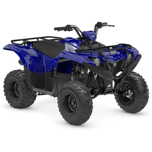 Quad tout-terrain Yamaha Grizzly 110 2025, livraison internationale disponible au meilleur prix - Product Image 1