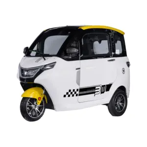 EU COC EEC Mini Electric Closed Car Mobility Van Low Speed Three Wheeler Tuk Tuk for Elderly New Energy Vehicle