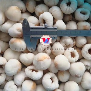 ลิ้นจี่แช่แข็ง IQF คุณภาพพรีเมียม สำหรับทำน้ำผลไม้และสมูทตี้ - Product Image 3