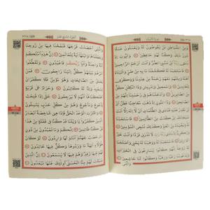 Livre de taille moyenne 234 GREEN-THIRTY CHAPTER SEALED - Product Image 2