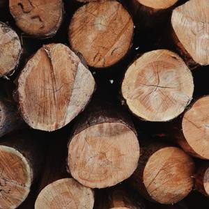 Piles en bois d'eucalyptus de haute qualité bois de santal parfumé pour un usage religieux - Product Image 2