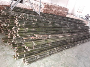 Polos de bambú de alta calidad para construcción, palos de bambú naturales para jardinería, precio más barato, de Vietnam - Product Image 4