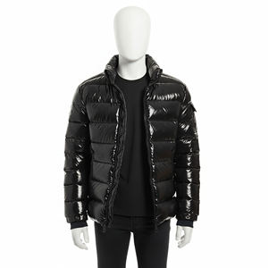 Veste d'hiver matelassée pour homme à manches longues, grande taille, en toile, avec fermeture éclair et capuche, OEM, haute qualité, imperméable, respirante, personnalisée - Product Image 1