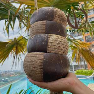 2023 Hot Trend 100% Cuenco de cáscara de coco ecológico Producto natural Hecho en Vietnam - Product Image 1