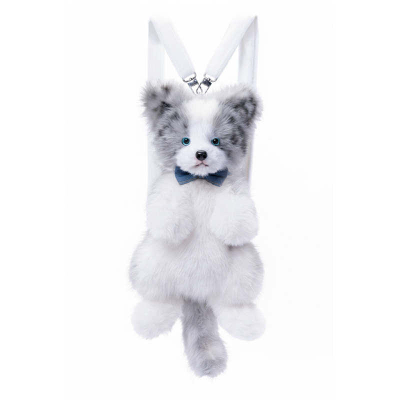 Gray Meteorite Border Collie