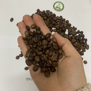 Precio con Descuento, Calidad Premium, 100% Arábica Grado AA, Venta al por Mayor, Suministro a Granel, Tueste Intenso. Contactar a Sra. Doris +84 35 254 2206 - Product Image 2