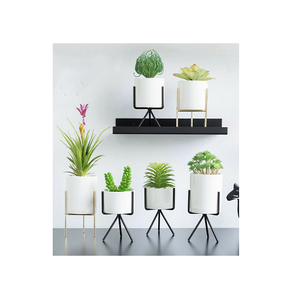 Macetas de plantas suculentas para hotel, macetas grandes de metal recubiertas de polvo para interior, con soporte de madera, gran oferta - Product Image 2