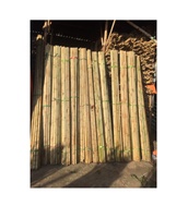 Clôture en treillis de bambou doré Sandy - Grand piquet de bambou - Piquets naturels pour jardin et agriculture - Durée de vie de 5 ans