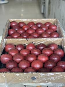 Vietnam Frais Passion Fruits Naturel Faveur Approvisionnement en Vrac Pas Cher Prix Bonne Qualité - Product Image 6