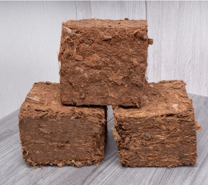 พีท/อิฐมะพร้าวที่เป็นมิตรต่อสิ่งแวดล้อมของเวียดนาม - Product Image 6