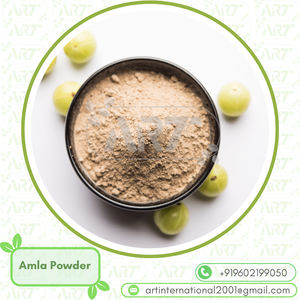 ผง Amla ที่ไม่มีการเจือปนแหล่งสดสำหรับสารอาหารธรรมชาติสนับสนุนปริมาณเส้นผมและการทำให้ผิวอ่อนเยาว์ - Product Image 2