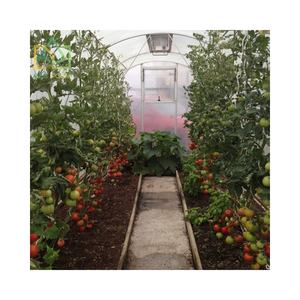 <span class=keywords><strong>Serre</strong></span> <span class=keywords><strong>de</strong></span> jardin en polycarbonate à double porte, résistante et tout temps, kit <span class=keywords><strong>de</strong></span> <span class=keywords><strong>serre</strong></span> <span class=keywords><strong>de</strong></span> jardin en polycarbonate - Product Image 5