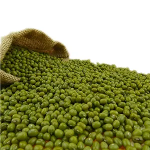 緑の緑豆/穀物/緑の豆を卸売で入手可能