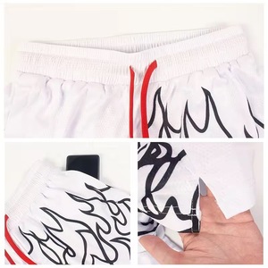 Summer High Street Style Canvas Mesh Sports Custom Men's Gym Shorts 5 Inch Inteam Quick Dry Breathable - Product Image 5