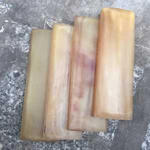 Escamas y Placas de Cuerno Natural Ecológicas de la Mejor Calidad, Técnica Cruda, Imitación Antigua, Artículo de Colección Artístico en Venta - Product Image 5