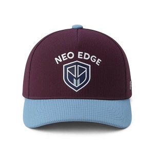 Fabricante Baci logotipo bordado personalizado dos tonos 5 paneles a Marco PANA Gorras gorras de béisbol gorra de camionero para hombres - Product Image 2