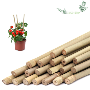 Bâton de bambou durable solide et naturel du Vietnam 100% pour jardin/plante de support de bâton de bambou pour une utilisation à l'agriculture - Product Image 5