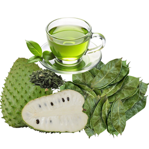 Thé en sachet de feuilles de guanabana et de corossol avec poudre, approvisionnement en vrac, directement de l'usine, meilleure offre pour les acheteurs internationaux - Product Image 1
