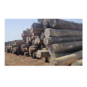 ไม้ซุงเมอร์แอนตี้น้ำตาล18-25ฟุต - Product Image 6