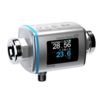 Débitmètre électromagnétique intelligent intuitif Picomag Magmètre multivariable pratique pour DMA50-AAAAA1 d'eau avec robe H Auser