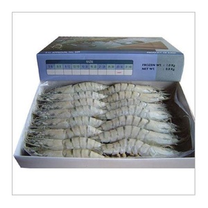 Camarones Tigre HOSO Congelados - Compra al por Mayor de Camarones Tigre para Procesamiento de Alimentos - Product Image 5