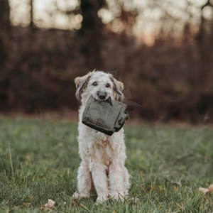 Bolsa de Entrenamiento para Perros de Tela Premium, Ligera, Cómoda y Resistente, para Uso Diario - Product Image 6
