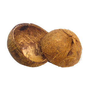 Cáscara de Coco Cruda en Oferta para Decoración y Carbón Vegetal Industrial - Product Image 1