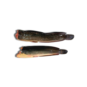 Vente en gros d'emballage sous vide IQF de fruits de mer de poisson-chat entier congelé du Vietnam - Product Image 3