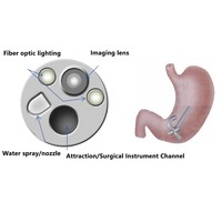Caméra endoscopique à prix d'usine, endoscopie gastro-intestinale, endoscope vidéo 6,3 mm, endoscope vétérinaire pour chien et chat