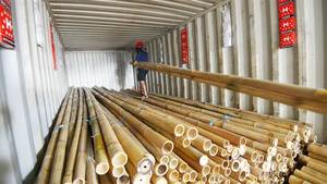 Vente en gros de poteaux de bambou Tailles personnalisées Couleur naturelle Prêt à exporter Eco2go Vietnam Durée de conservation de 2 ans Sans additifs - Product Image 2