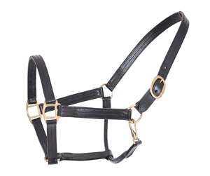 Halters de cheval en cuir rembourré fabriqués en Inde, licou de course de chevaux robuste à double couture de la meilleure qualité dans les tailles complètes d'épi - Product Image 6