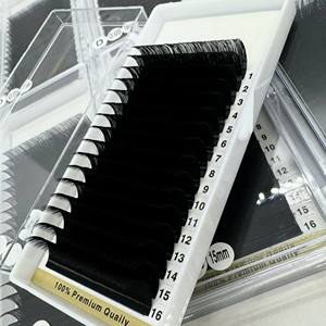 Extensions de cils individuels en plateau 12/16 lignes, faits à la main, courbures C/CC/D/DD/M/L, épaisseur 0.03-0.07, noir mat, PBT coréen - Product Image 1