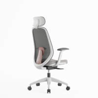 Chaises de bureau ergonomiques professionnelles, chaise en maille réglable, confortable, moderne, chaise pivotante de direction, chaise de bureau de luxe