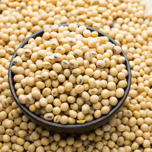 Graines de soja biologiques séchées de qualité supérieure pour l'agriculture commerciale et l'exportation en sacs en vrac – Ingrédient pour l'alimentation animale - Product Image 4