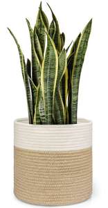 Maceta de Yute y Algodón Premium con Acabado Cerámico, Cesta para Plantas y Flores, 10 cm, Ecológica, Tejida a Mano, Decoración para el Hogar y Jardín - Product Image 2