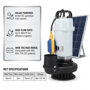 Bomba de Agua Solar Sumergible de CC sin Escobillas de 48V 60V 72V con Gran Caudal para Riego Agrícola - Product Image 2