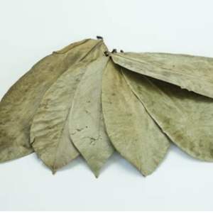100% Hojas de Guanábana natural - Product Image 2