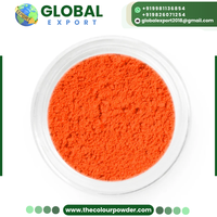 Poudre de couleur néon de haute qualité pour Thanksgiving, biodégradable, imperméable, sans danger pour la peau et les cheveux, longue durée de conservation, Nitro Seal Outdoor