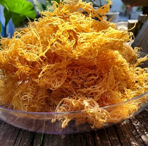 Musgo de mar seco de Vietnam | Elección popular | A granel o OEM disponible | Sra. Thao - Product Image 1