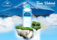 Eau Minérale Pure à 100% de la Marque Vietnam Camel, OEM ODM, Vente en Gros, Boissons en Bouteilles en Plastique Provenant de Source Naturelle pour les Marchés Mondiaux
